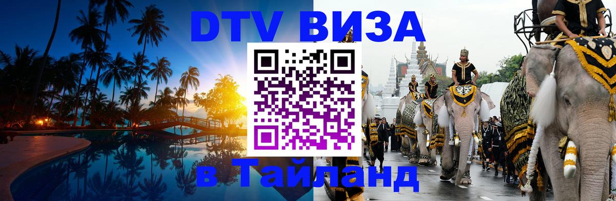 Сколько стоит DTV виза — актуальные цены, оформление даже без документов - 19.11.2025 